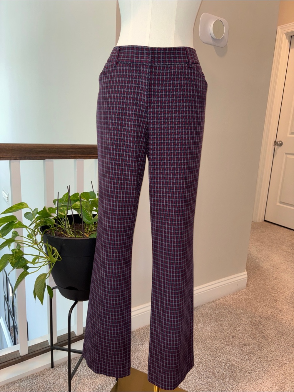 Express Burgundy Plaid Trousers